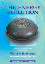 The Energy Evolution (cover)