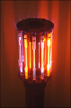 nvpic3.jpg